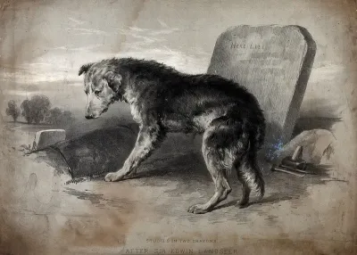 A dog standing on a fresh grave looking mournfully