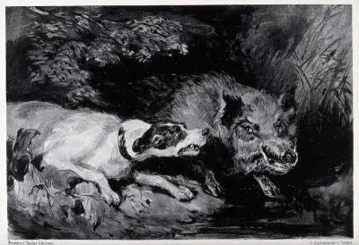 A dog threatens a wild boar