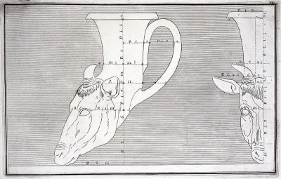 A drinking-horn (rhyton) in the form of the head of a deer: outline drawing with measurements