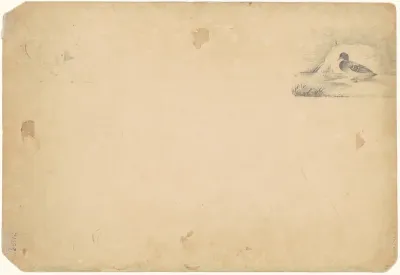 A Duck and a Stag [verso]