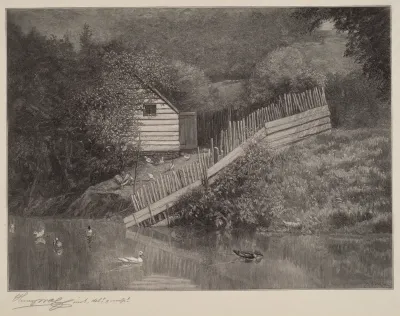 A Duck Pond