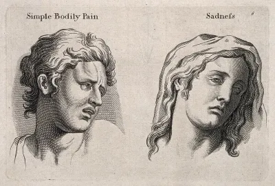 A face expressing 'simple bodily pain' (left) and a face (right) expressing sadness