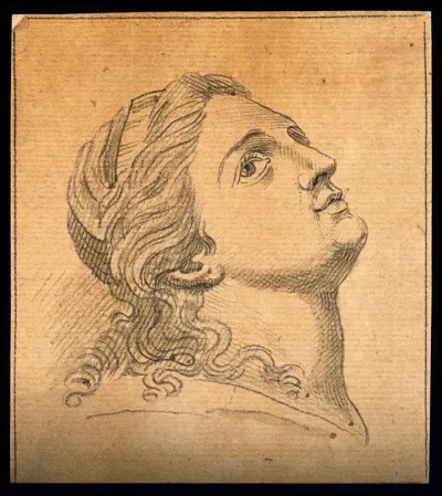 A face void of all discernible connection with temperament or expression