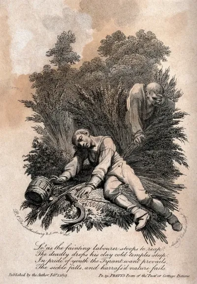 A farm worker has fallen among the corn owing to starvation, and has dropped his scythe and barrel; another worker is also about to faint