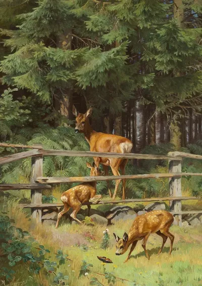 A fawn watching a butterfly.