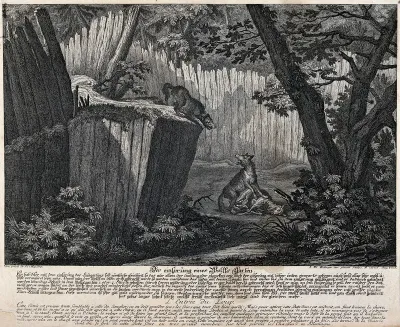 A fenced-in gorge in a forest set up as a trap: one wolf is already in the enclosure near the bait while the other wolf is about to jump in