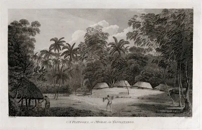 A fiatooka, or burial place, on Tongatapu island