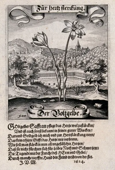 A field surrounded by wooded hills, with a saffron crocus in the foreground and verses below