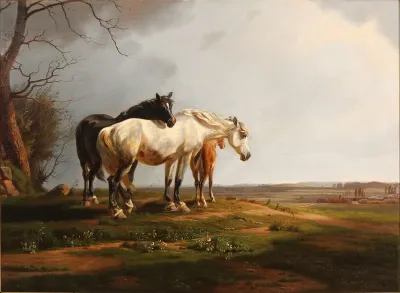 A flock of horses in a field in the sun
