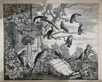 A flock of parrots and two monkeys gathered round a fountain in a classical garden