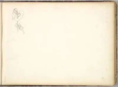 A Flower