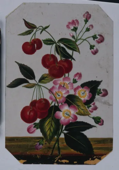 A flowering cherry plant with fruit