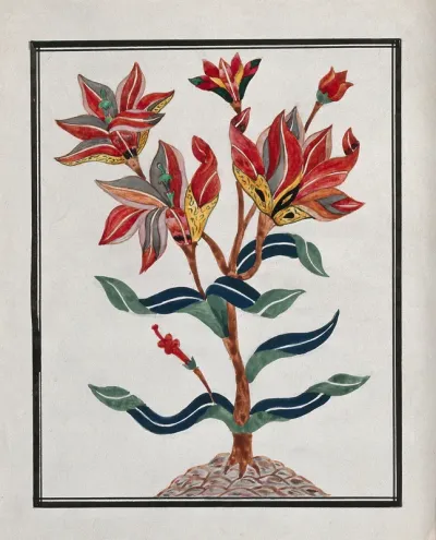 A flowering plant; a design for pietra dura (marble inlaid with semi-precious stones)