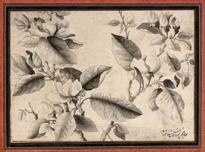 A flowering stem, possibly of a peach tree (Prunus species)