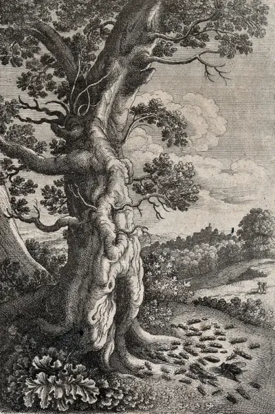 A fly is standing among ants swarming about the hollow base of a tree