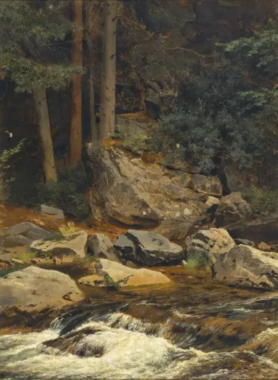 A Forest Brook