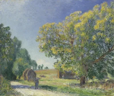 A Forest Clearing