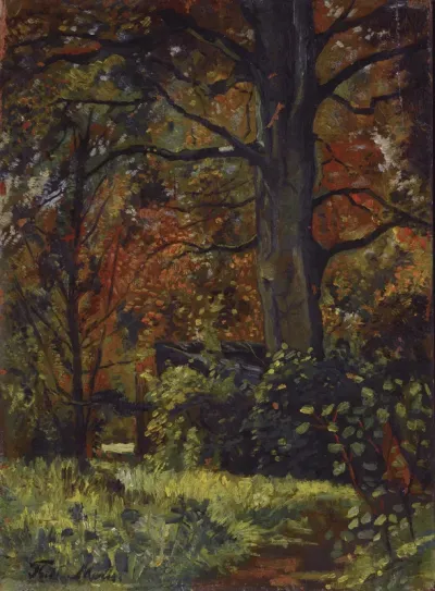 A forest in autumn