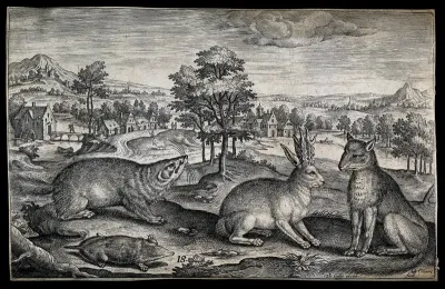 A fox, a beaver and a mole looking at a hare which has grown antlers
