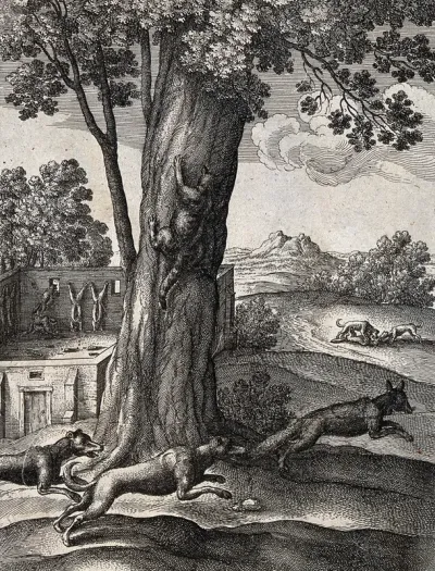 A fox is pursued by two dogs while a cat escapes by climbing a tree