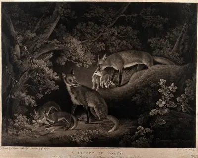 A fox stands beside its two cubs, who are eating a bird, while its mate returns with a rabbit