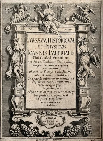 A frame decorated with allegorical figures, swags and scrollwork; representing the Musaeum historicum et physicum of Giovanni Imperiale