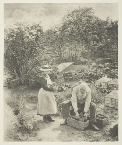 A Garden End (Suffolk)