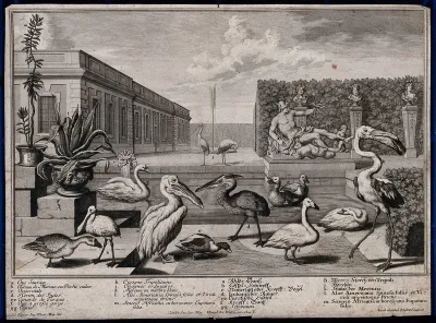 A garden pond with nine large exotic birds, two potted plants and a statue of Mercury