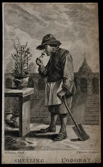 A gardener smelling a flower; representing the sense of smell