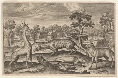 A Giraffe, a Chameleon, a Civet, and an Antelope