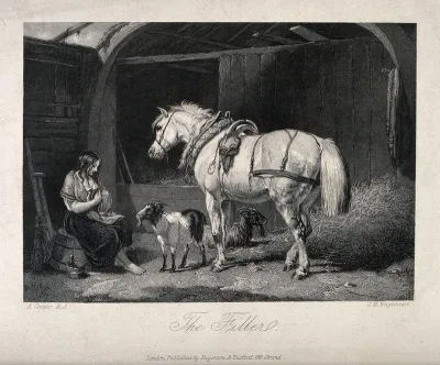 A girl sitting on an upturned tub in a barn with a horse and two goats nursing the little goat in her lap