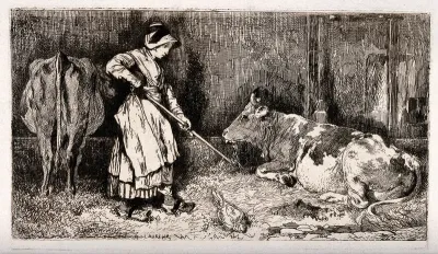 A girl wearing clogs turns the hay for cows in their shed