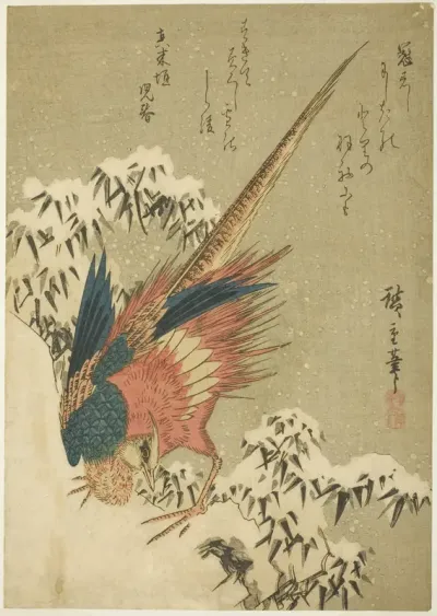 A Golden Pheasant amid Snow-Covered Bamboo on a Steep Hillside