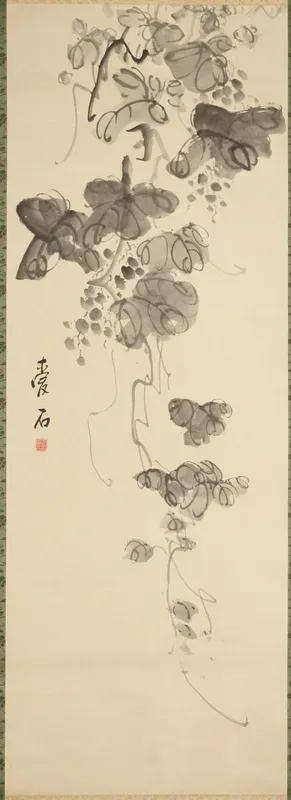 A Grape Vine