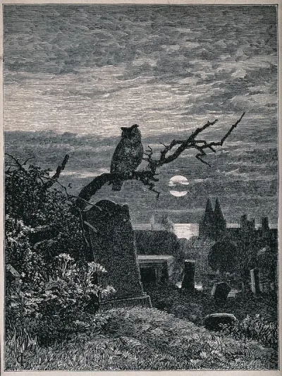 A graveyard at night with an owl perched on a branch