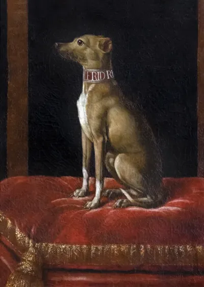 A great lord's dog