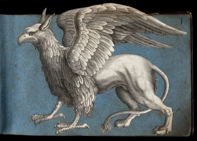 A griffen: side view of the mythical beast