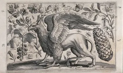 A griffin facing left surrounded by various flowers, fruits and insects