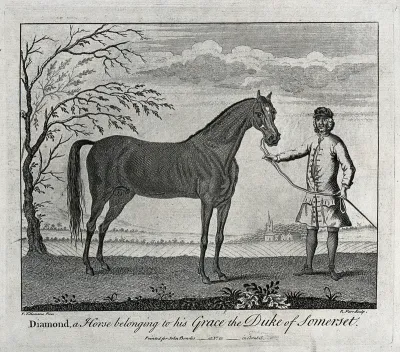 A groom holding a stallion by its reins