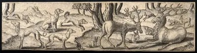 A group of animals in a forest