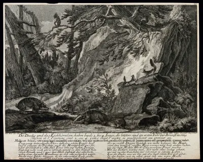 A group of badgers with their young are sniffing the ground while some squirrels are gamboling on trees and rocks in the mountains