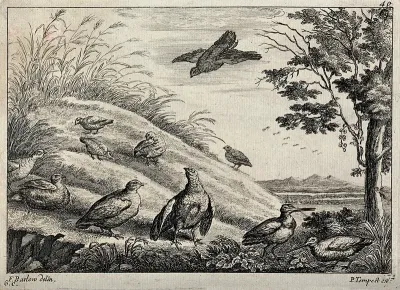 A group of fowl and birds resting and feeding at the bottom of a mound