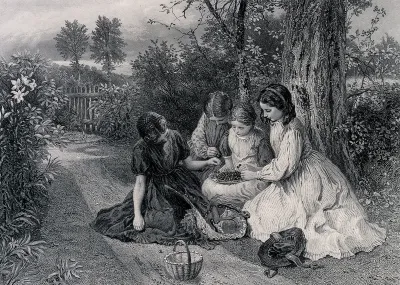 A group of girls are sitting on the ground under a tree with a basket of cherries