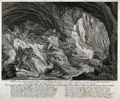 A group of linx with their kitten in a cave in the mountains