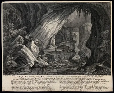 A group of otters in an underground cave with a waterfall in the background