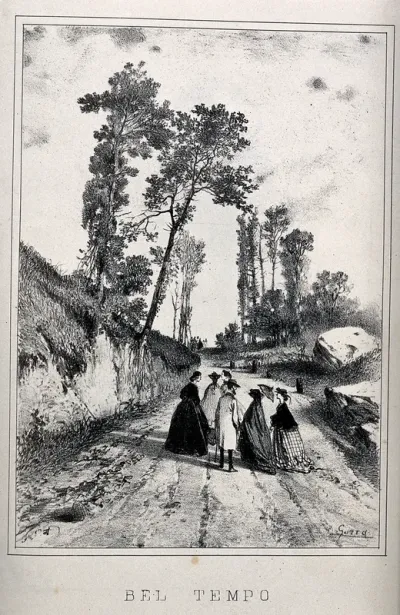 A group of people are walking along a country lane in fine weather