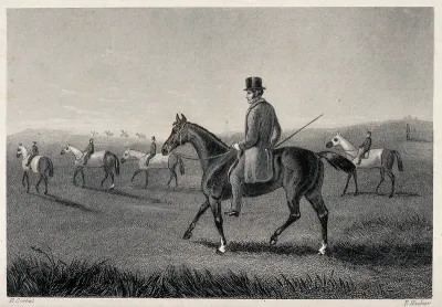 A group of riders with their horses on a meadow