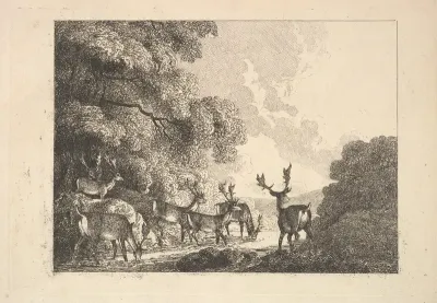 A Group of Stags Drinking