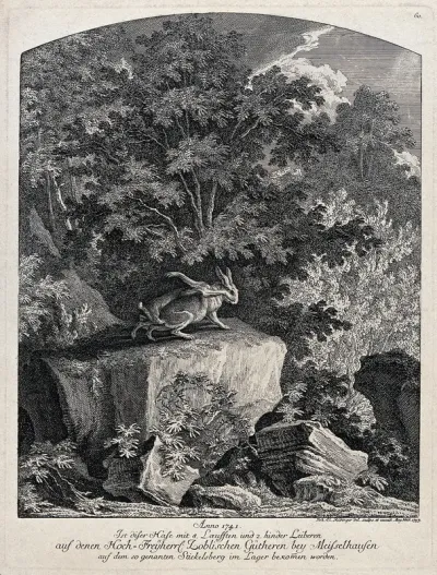 A hare with eight legs standing on a rock in a forest