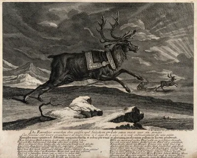 A harnessed reindeer rearing its front legs in a mountainous landscape with a reindeer pulling a manned sleigh in the background